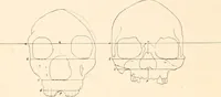 An illustration from Men of the old stone age, their environment, life and art (1916)