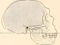 An illustration from Men of the old stone age, their environment, life and art (1916)