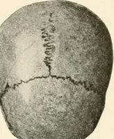 An illustration from Men of the old stone age, their environment, life and art (1916)