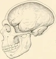 An illustration from Men of the old stone age, their environment, life and art (1916)