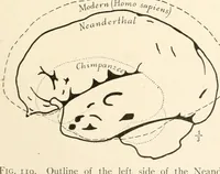 An illustration from Men of the old stone age, their environment, life and art (1916)