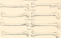 An illustration from Men of the old stone age, their environment, life and art (1916)