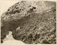 An illustration from Men of the old stone age, their environment, life and art (1916)