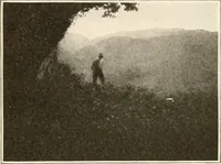 An illustration from Men of the old stone age, their environment, life and art (1916)