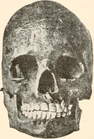 An illustration from Men of the old stone age, their environment, life and art (1916)