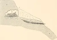 An illustration from Men of the old stone age, their environment, life and art (1916)