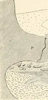 An illustration from Men of the old stone age, their environment, life and art (1916)