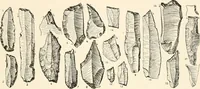 An illustration from Men of the old stone age, their environment, life and art (1916)