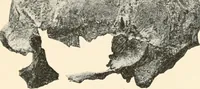 An illustration from Men of the old stone age, their environment, life and art (1916)