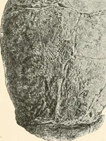 An illustration from Men of the old stone age, their environment, life and art (1916)