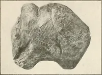 An illustration from Men of the old stone age, their environment, life and art (1916)