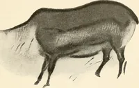 An illustration from Men of the old stone age, their environment, life and art (1916)