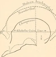 An illustration from Men of the old stone age, their environment, life and art (1916)