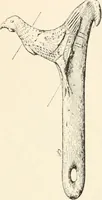 An illustration from Men of the old stone age, their environment, life and art (1916)
