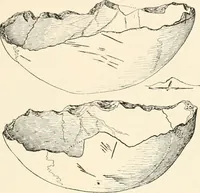 An illustration from Men of the old stone age, their environment, life and art (1916)