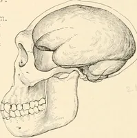 An illustration from Men of the old stone age, their environment, life and art (1916)