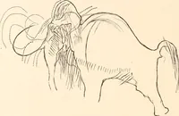 An illustration from Men of the old stone age, their environment, life and art (1916)