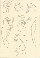 An illustration from Men of the old stone age, their environment, life and art (1916)