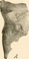 An illustration from Men of the old stone age, their environment, life and art (1916)