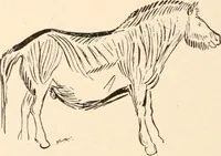 An illustration from Men of the old stone age, their environment, life and art (1916)