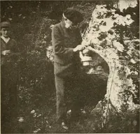 An illustration from Men of the old stone age, their environment, life and art (1916)