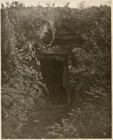 An illustration from Men of the old stone age, their environment, life and art (1916)