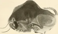 An illustration from Men of the old stone age, their environment, life and art (1916)