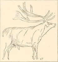 An illustration from Men of the old stone age, their environment, life and art (1916)