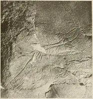 An illustration from Men of the old stone age, their environment, life and art (1916)