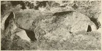 An illustration from Men of the old stone age, their environment, life and art (1916)