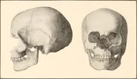 An illustration from Men of the old stone age, their environment, life and art (1916)