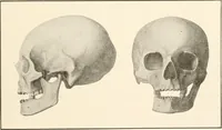 An illustration from Men of the old stone age, their environment, life and art (1916)