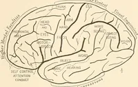 An illustration from Men of the old stone age, their environment, life and art (1916)