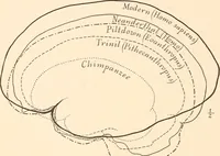 An illustration from Men of the old stone age, their environment, life and art (1916)