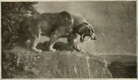An illustration from Men of the old stone age : their environment, life and art (1915)