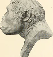 An illustration from Men of the old stone age : their environment, life and art (1915)
