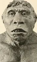 An illustration from Men of the old stone age : their environment, life and art (1915)