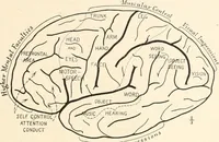 An illustration from Men of the old stone age : their environment, life and art (1915)