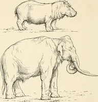 Picture 37 of 278 from Men of the old stone age : their environment, life and art (1915), leaf 125