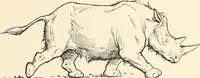 An illustration from Men of the old stone age : their environment, life and art (1915)
