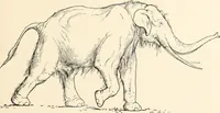 An illustration from Men of the old stone age : their environment, life and art (1915)