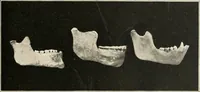 An illustration from Men of the old stone age : their environment, life and art (1915)