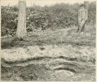 An illustration from Men of the old stone age : their environment, life and art (1915)