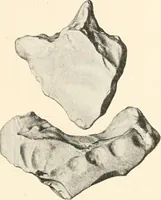 An illustration from Men of the old stone age : their environment, life and art (1915)