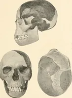 Picture 66 of 278 from Men of the old stone age : their environment, life and art (1915), leaf 170