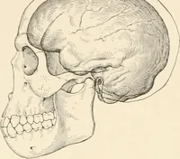 An illustration from Men of the old stone age : their environment, life and art (1915)