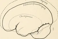 An illustration from Men of the old stone age : their environment, life and art (1915)