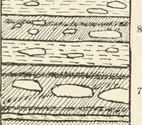 An illustration from Men of the old stone age : their environment, life and art (1915)