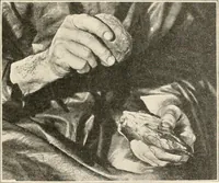 Picture 83 of 278 from Men of the old stone age : their environment, life and art (1915), leaf 200