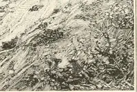 An illustration from Men of the old stone age : their environment, life and art (1915)
